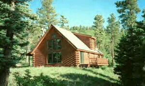 south side and back of cabin